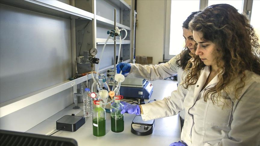 Gelecek Yeşil Görünüyor - Boğaziçi'nde mikroyosun araştırmaları